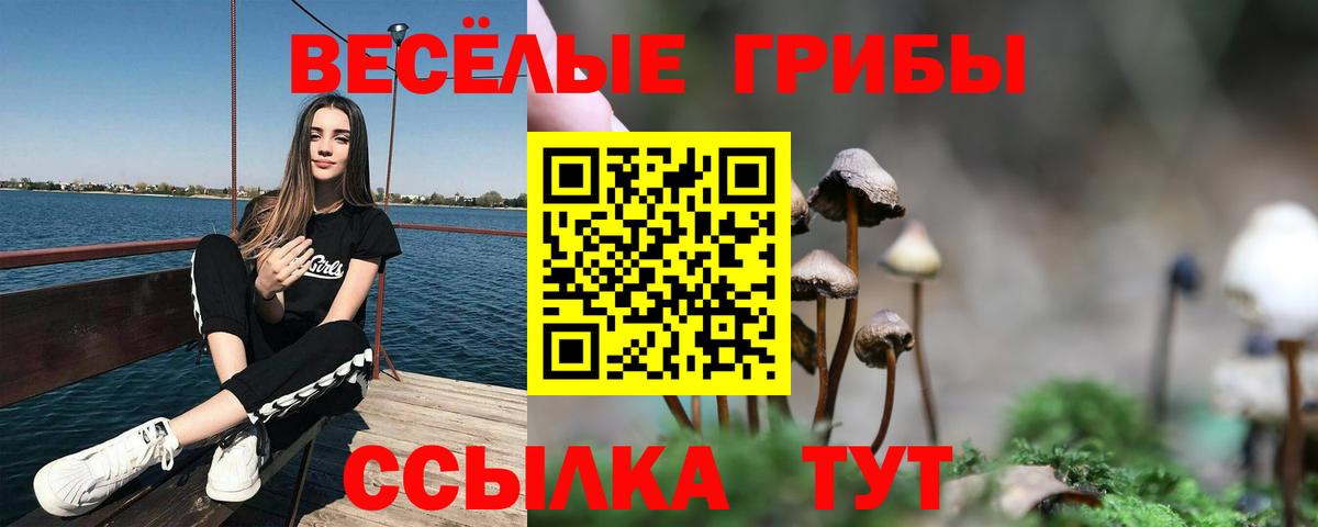 Галлюциногенные грибы мухоморы  Галлюциногенные грибы Psilocybine cubensis  Вход с VPN  где купить наркоту  Петрозаводск 
